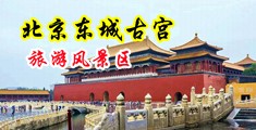 大鸡巴操死我骚逼视频中国北京-东城古宫旅游风景区